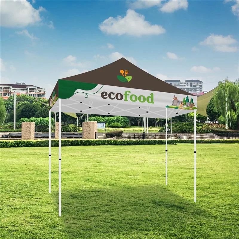 10x10 Standard Tent w/ Full Color Canopy 5
