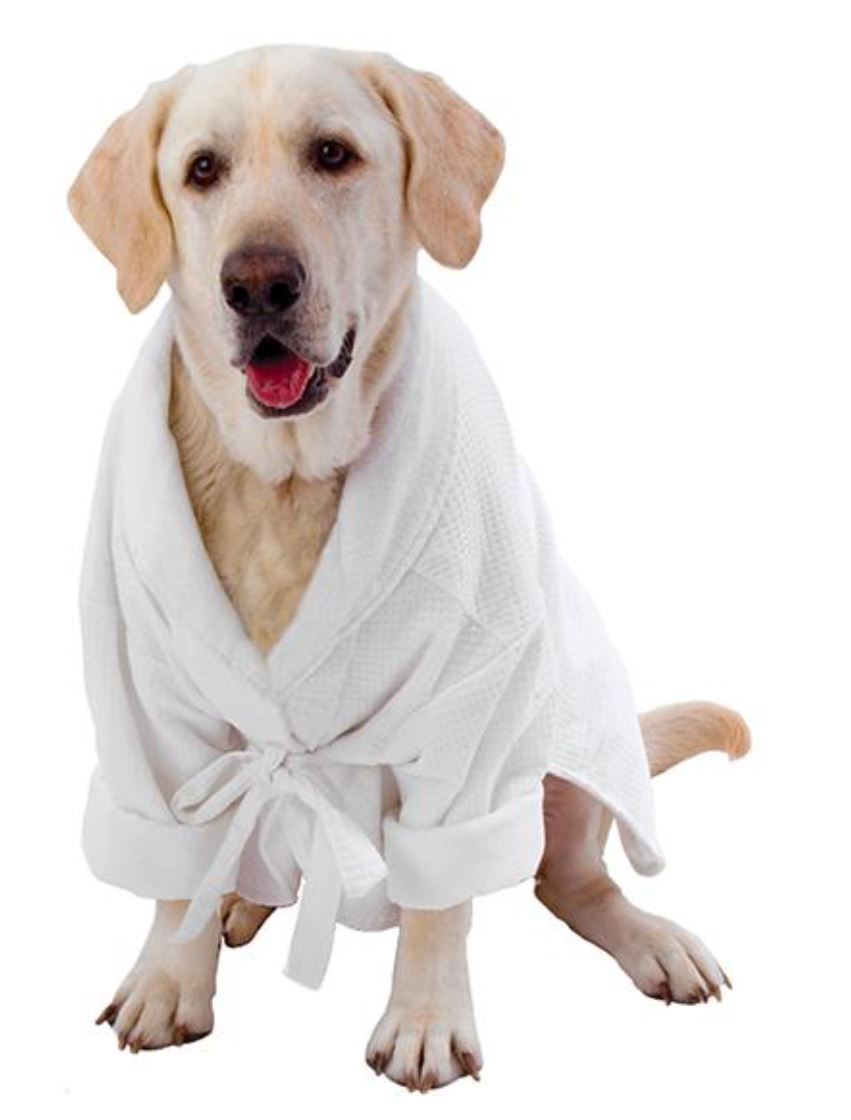 Dog Bathrobe 1