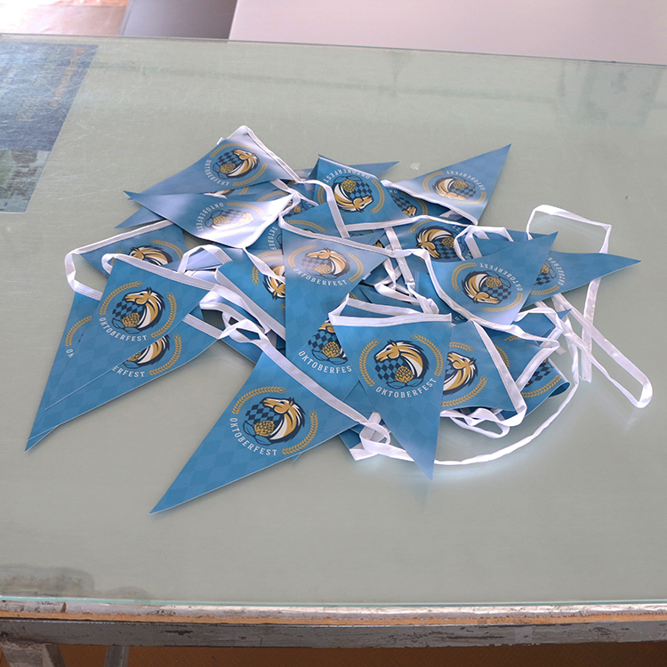 10 Triangular Pennant String 5