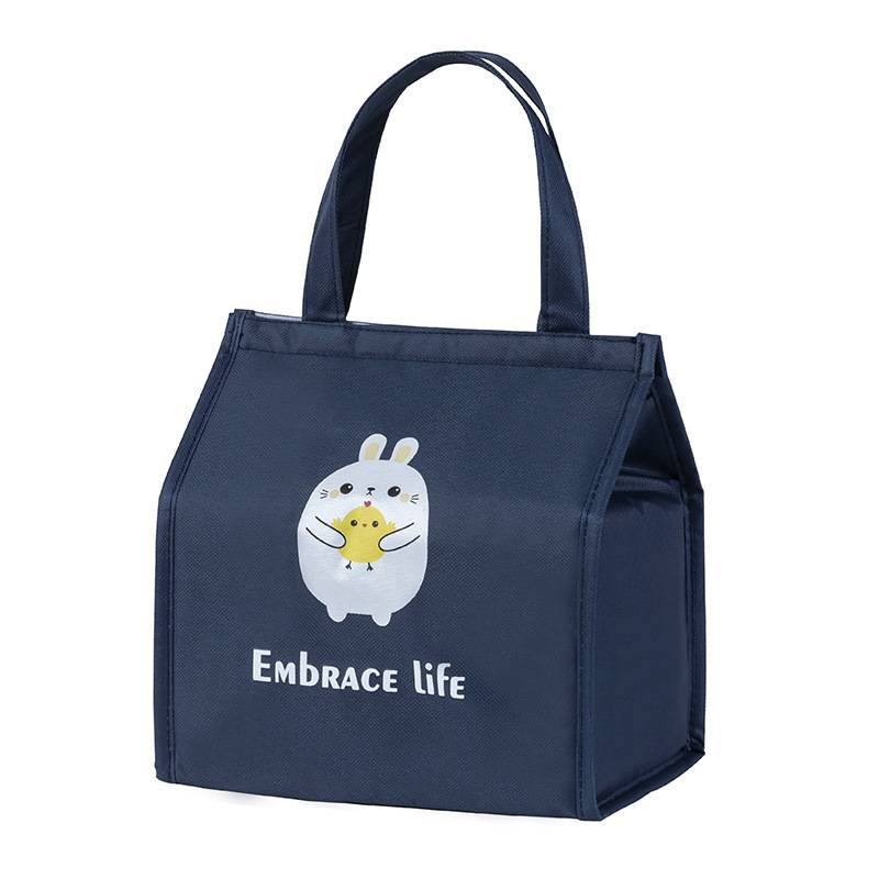 Oxford Thermal Lunch Cooler Tote Bag 6