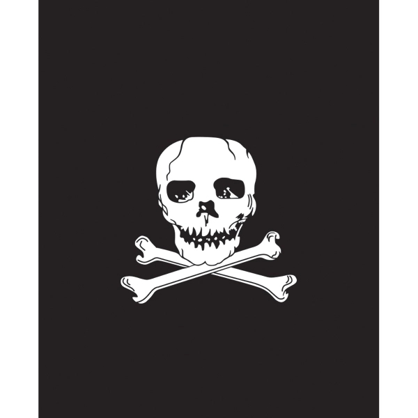 Jolly Roger Garden Pennant 2