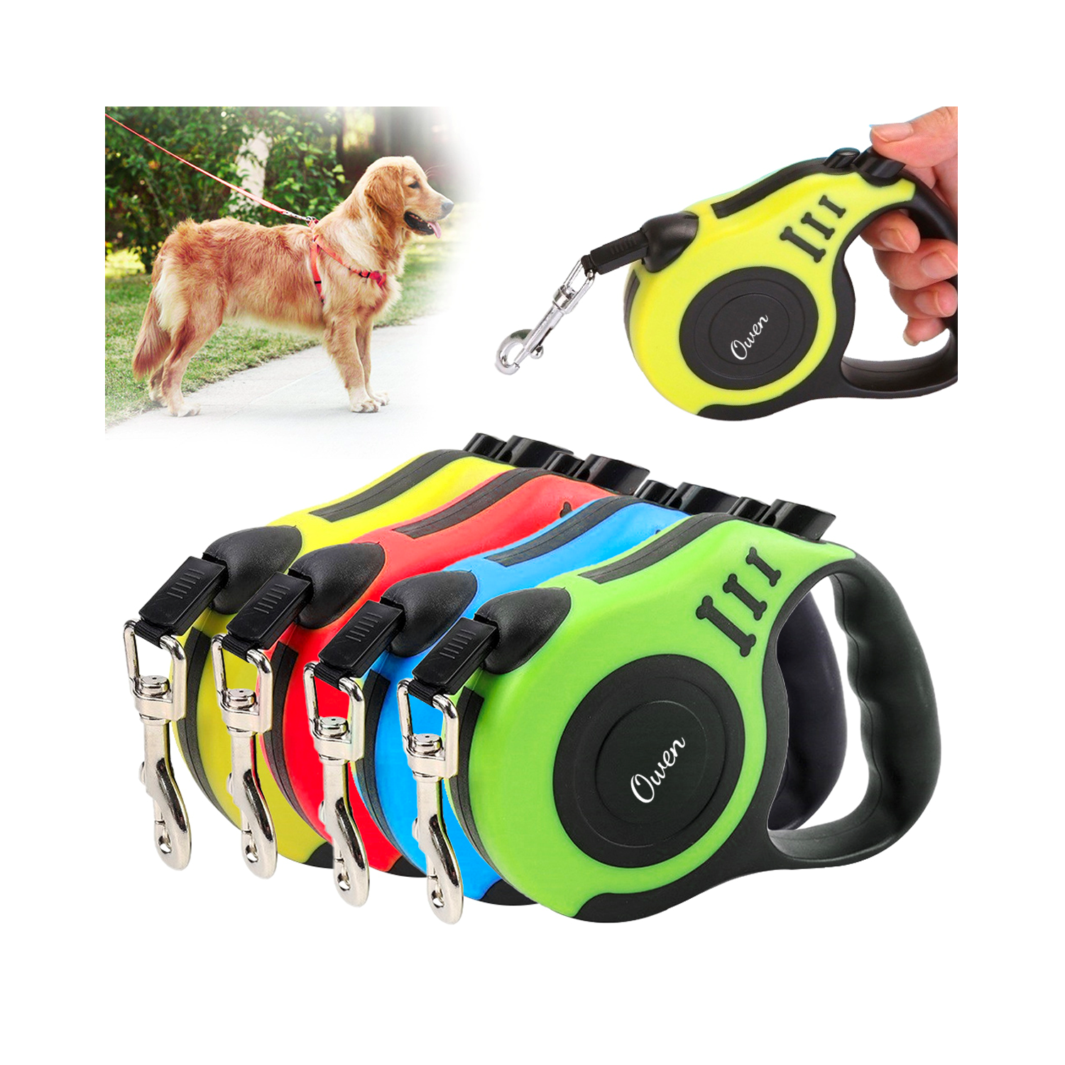 Dog Leash 2