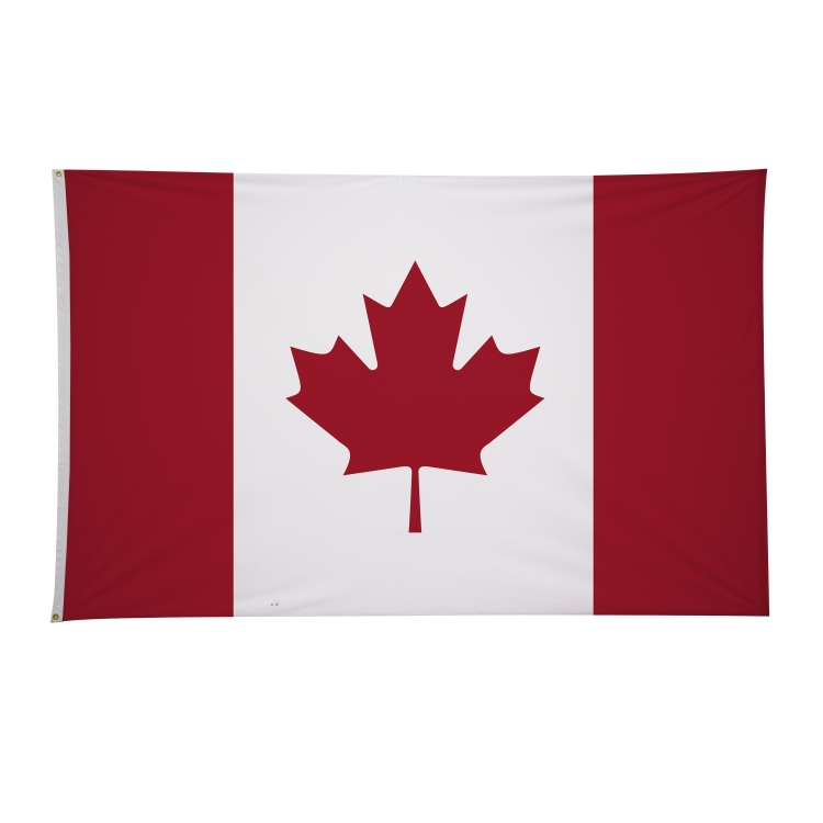 5' x 8' International Flags 192