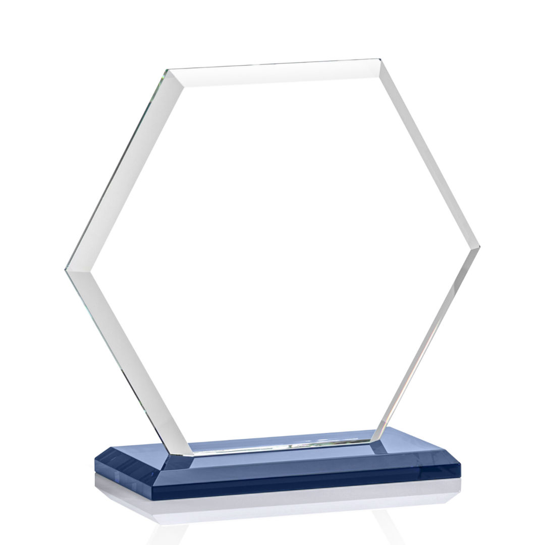 Barnett Award - Blue 4