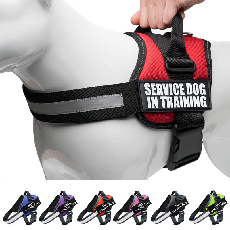 Nylon Dog Vest Harness 7