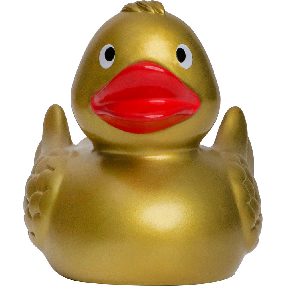 Duck With Wings 9