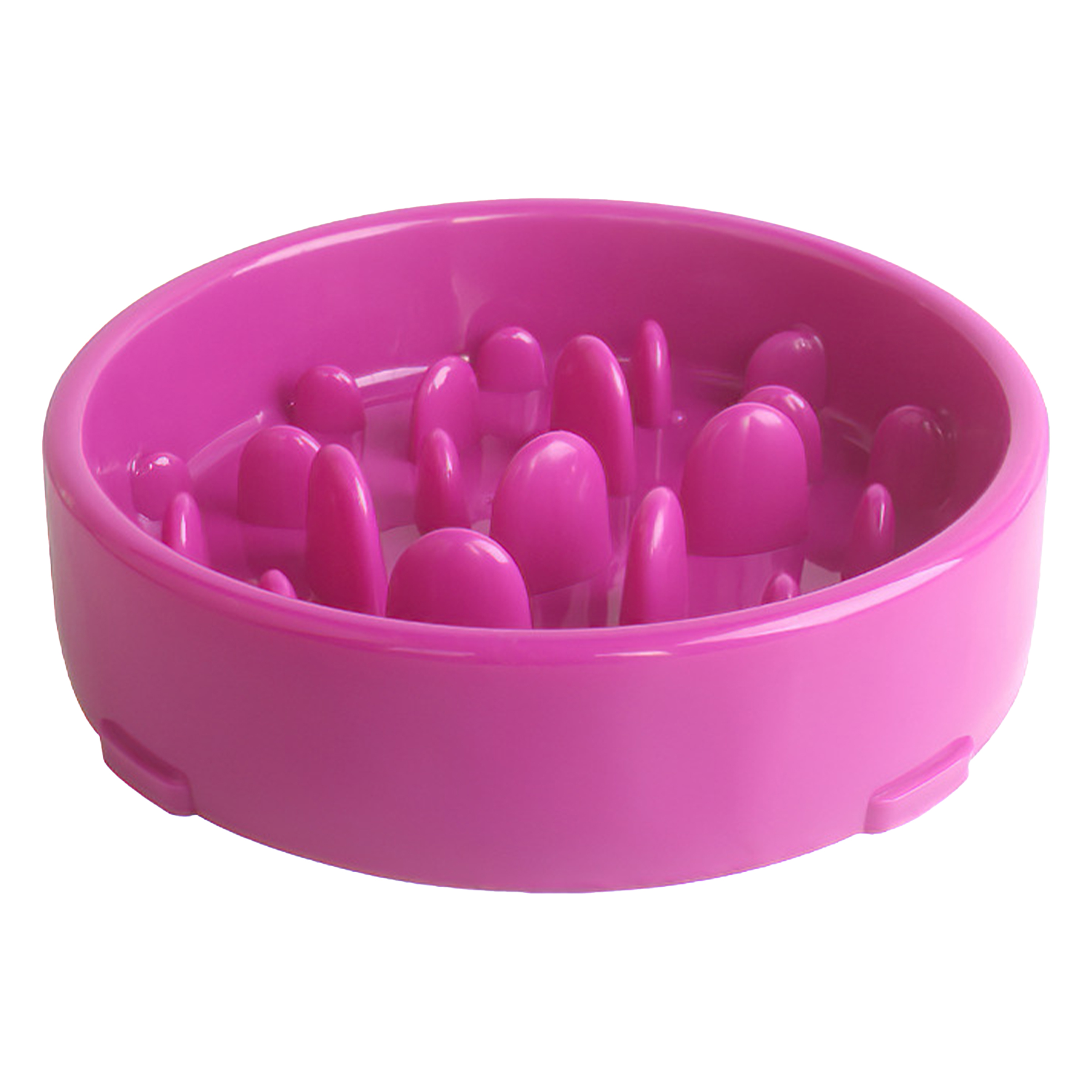 Polypropylene Thickened Practical Pet Feeder 6