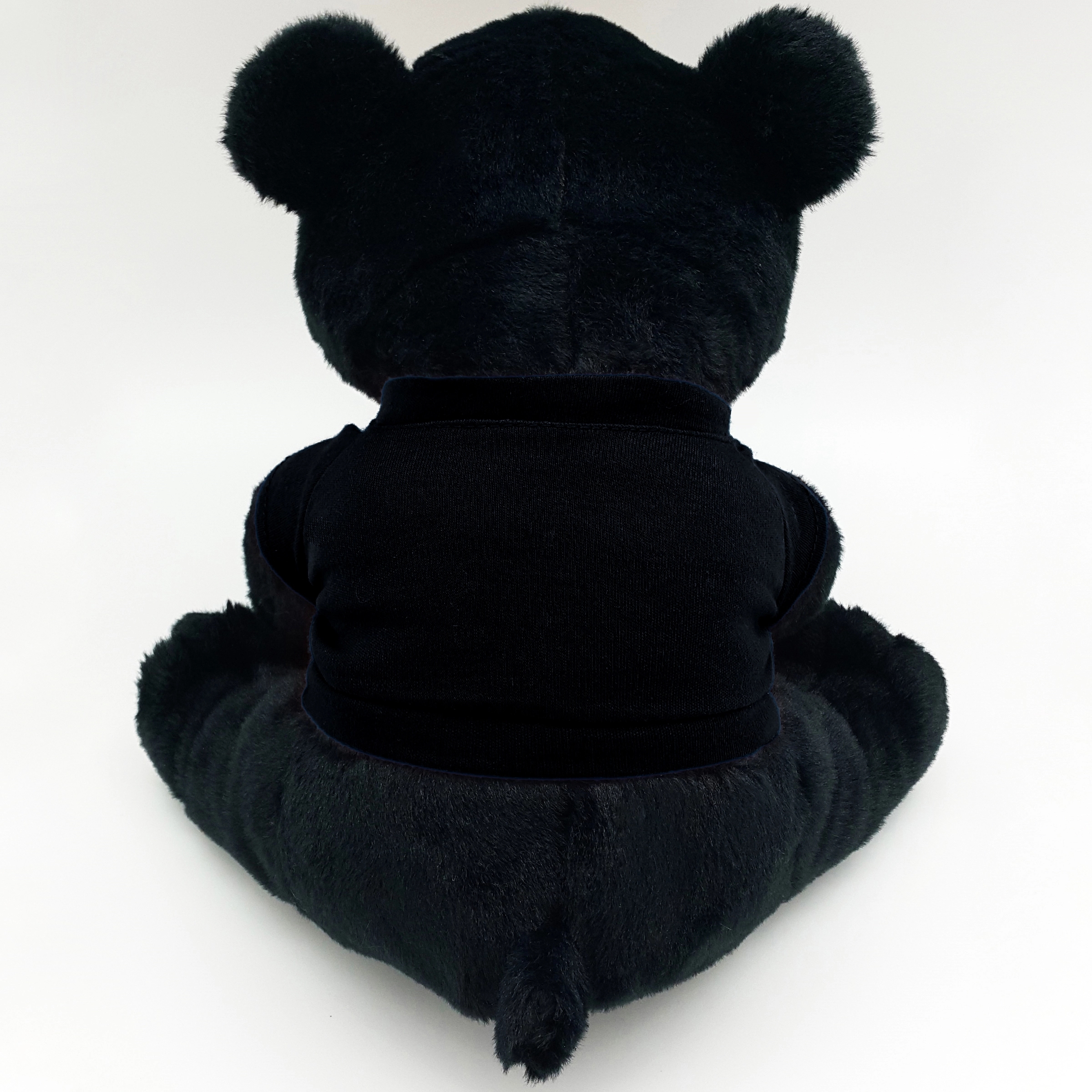 10" Black Bear 4
