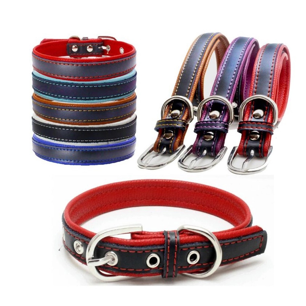 Leather Dog Collar 2