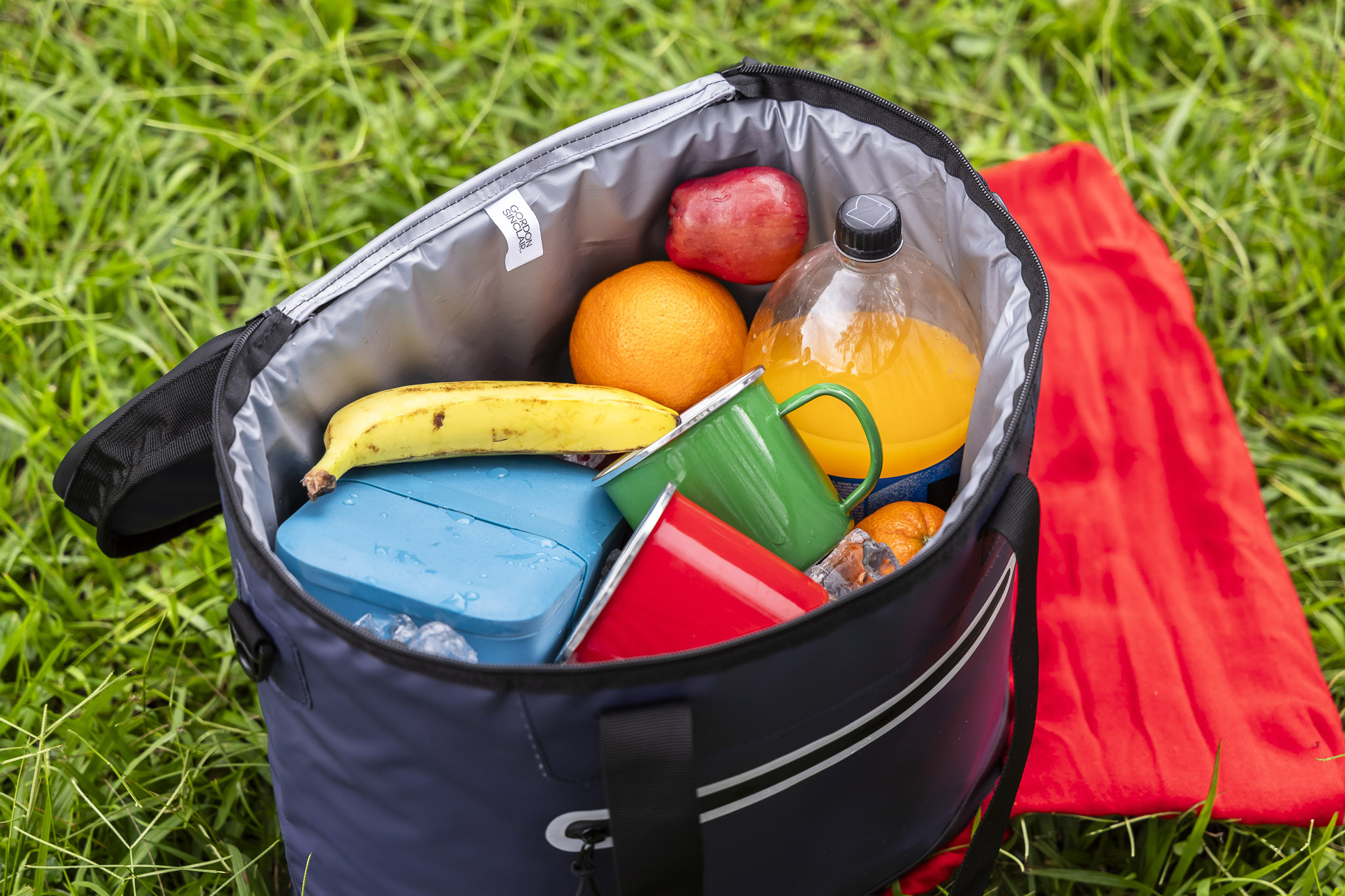Heavy-Duty Friz XL Cooler Bag 1