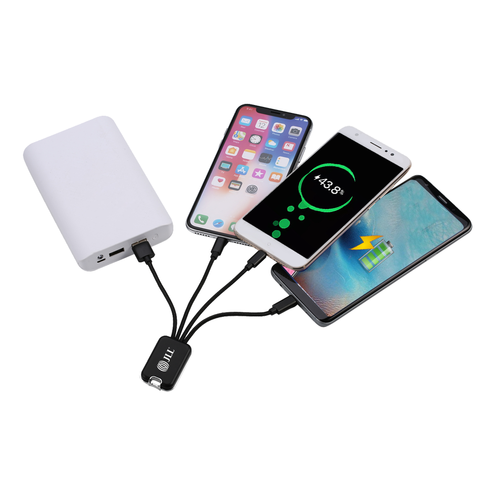 Elk Grove 4 in1 Charging Cables with USB Tip 10