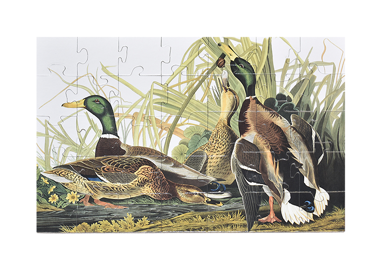 35 Pieces - 11" x 16" - Large Puzzle 2