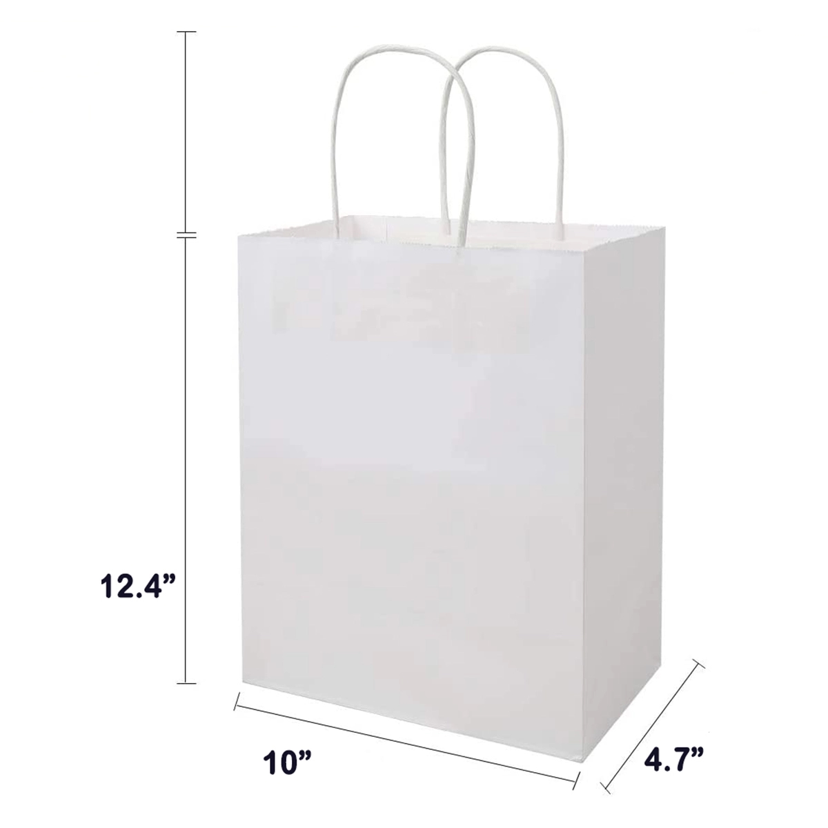 Custom Paper Gift Bag 2