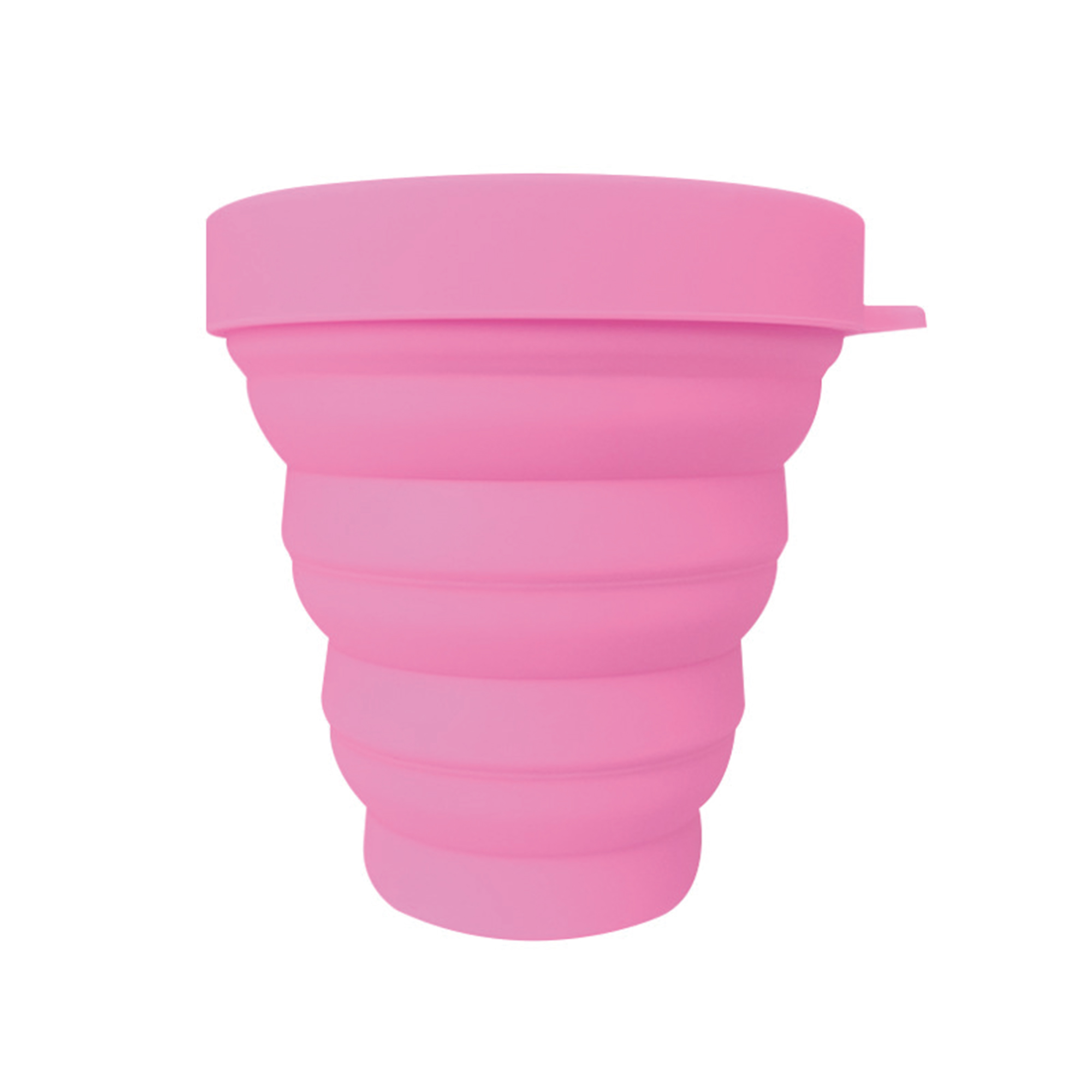 Collapsible Carabiner Pet Bowl 10