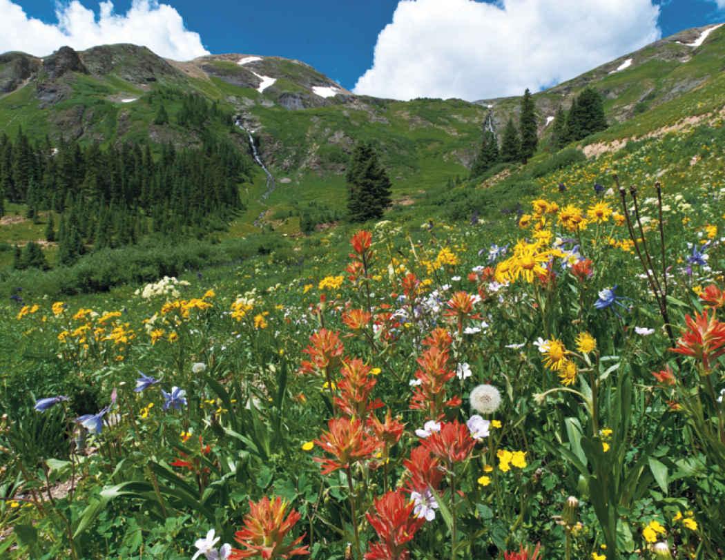 Triumph® Calendars Colorado Calendar 26