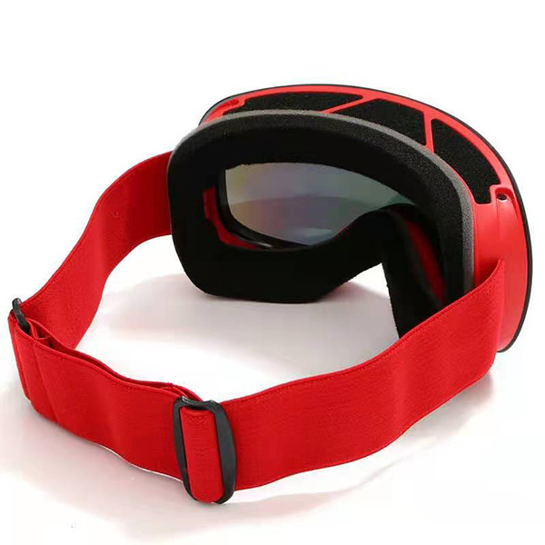 Ski Goggles 2