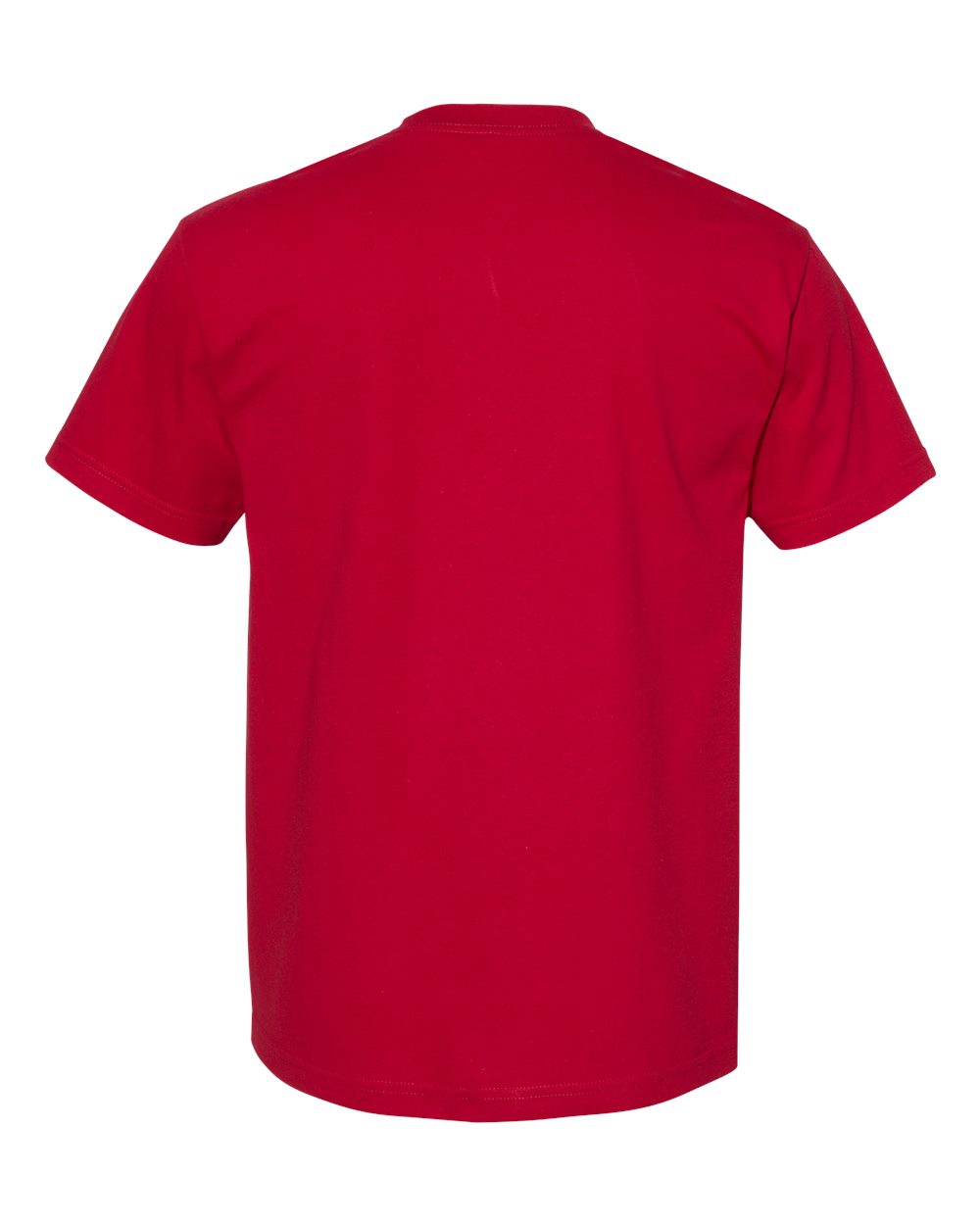 Unisex Heavyweight Cotton Tee - 1301 35