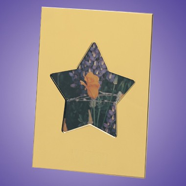 BRASS STAR PHOTO FRAME 1