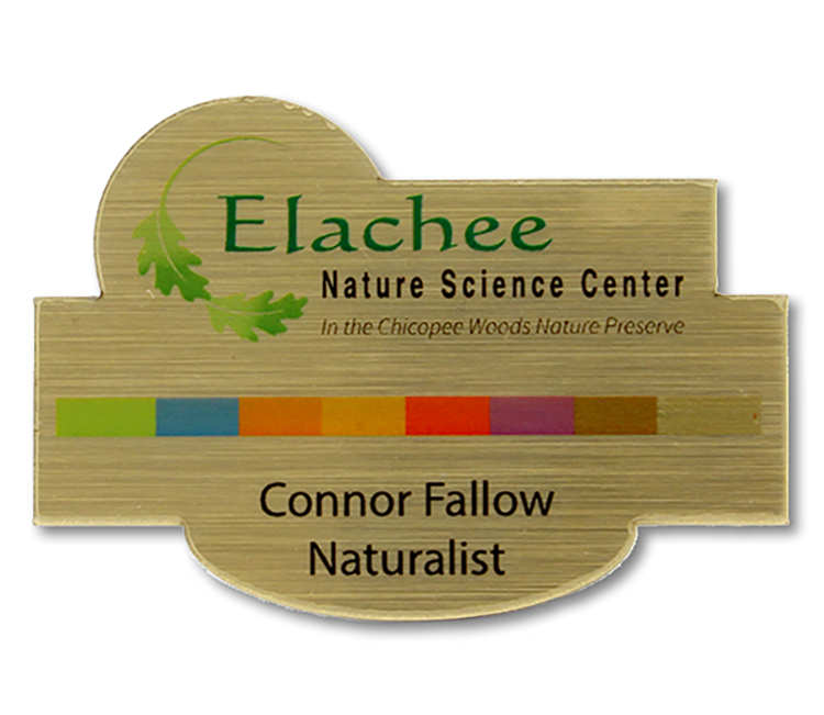 The Siren full color shaped name badge 9-12 sq" 2