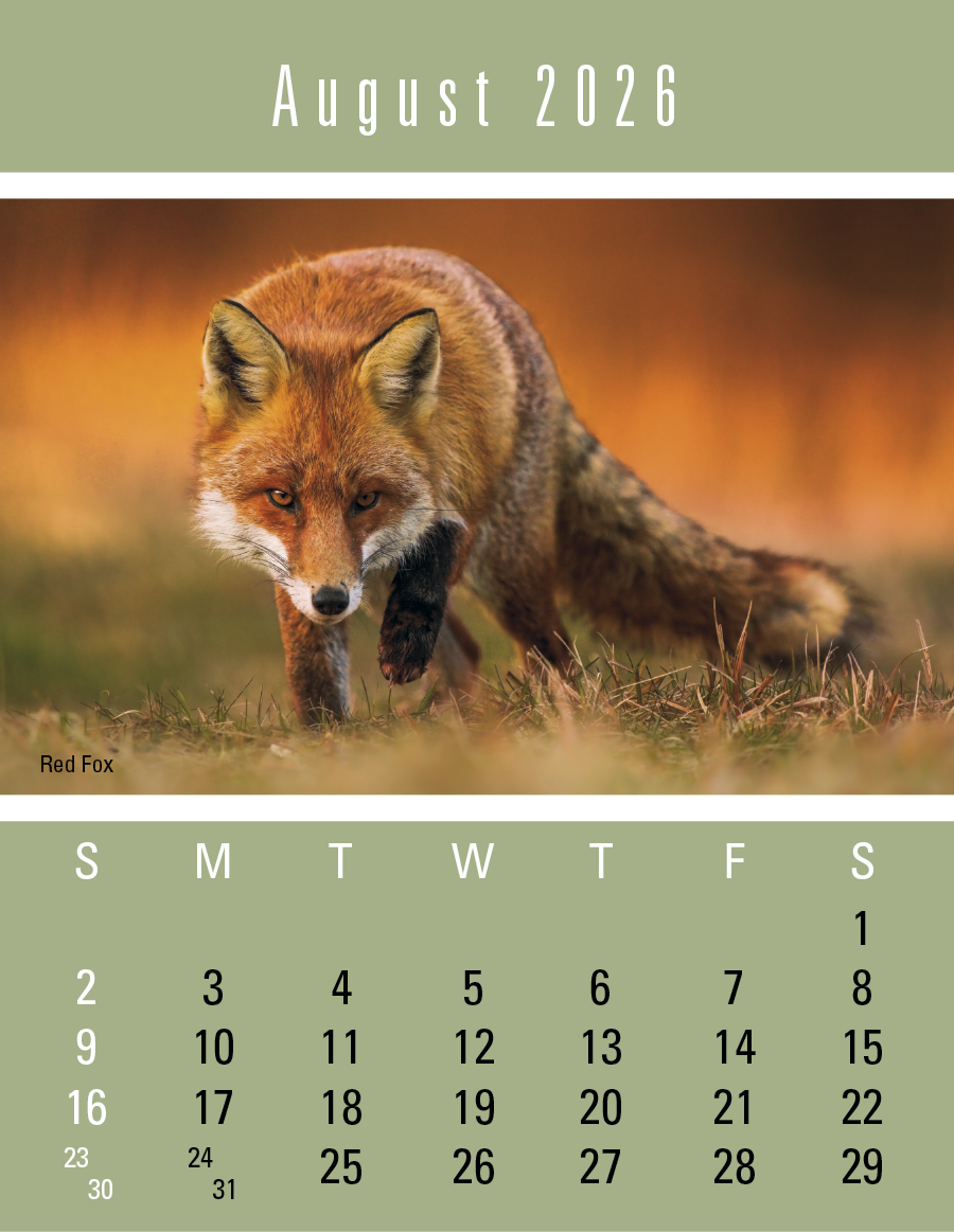 Press-N-Stick Sportsmen Calendar