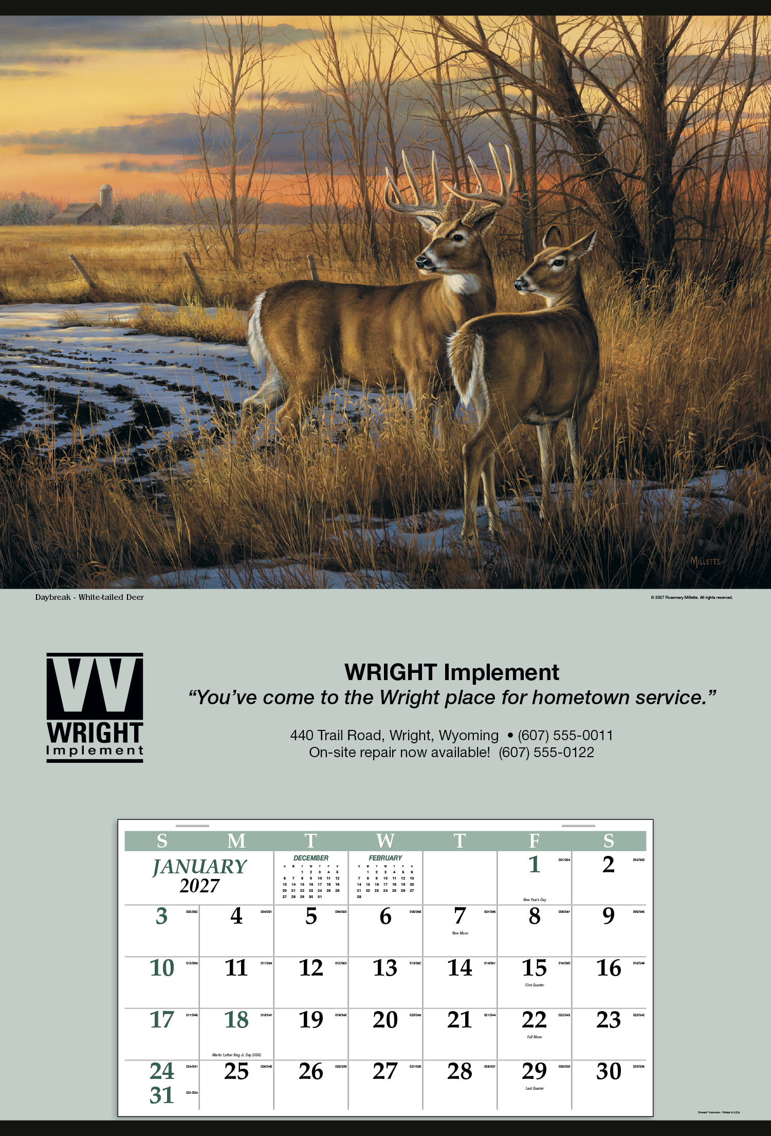 Triumph® Calendars Jumbo Hanger (12-Month) Calendar 49