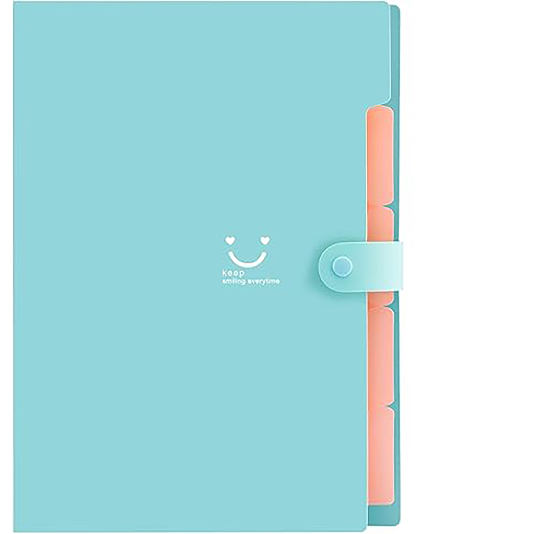 File Organizer with Labels 7