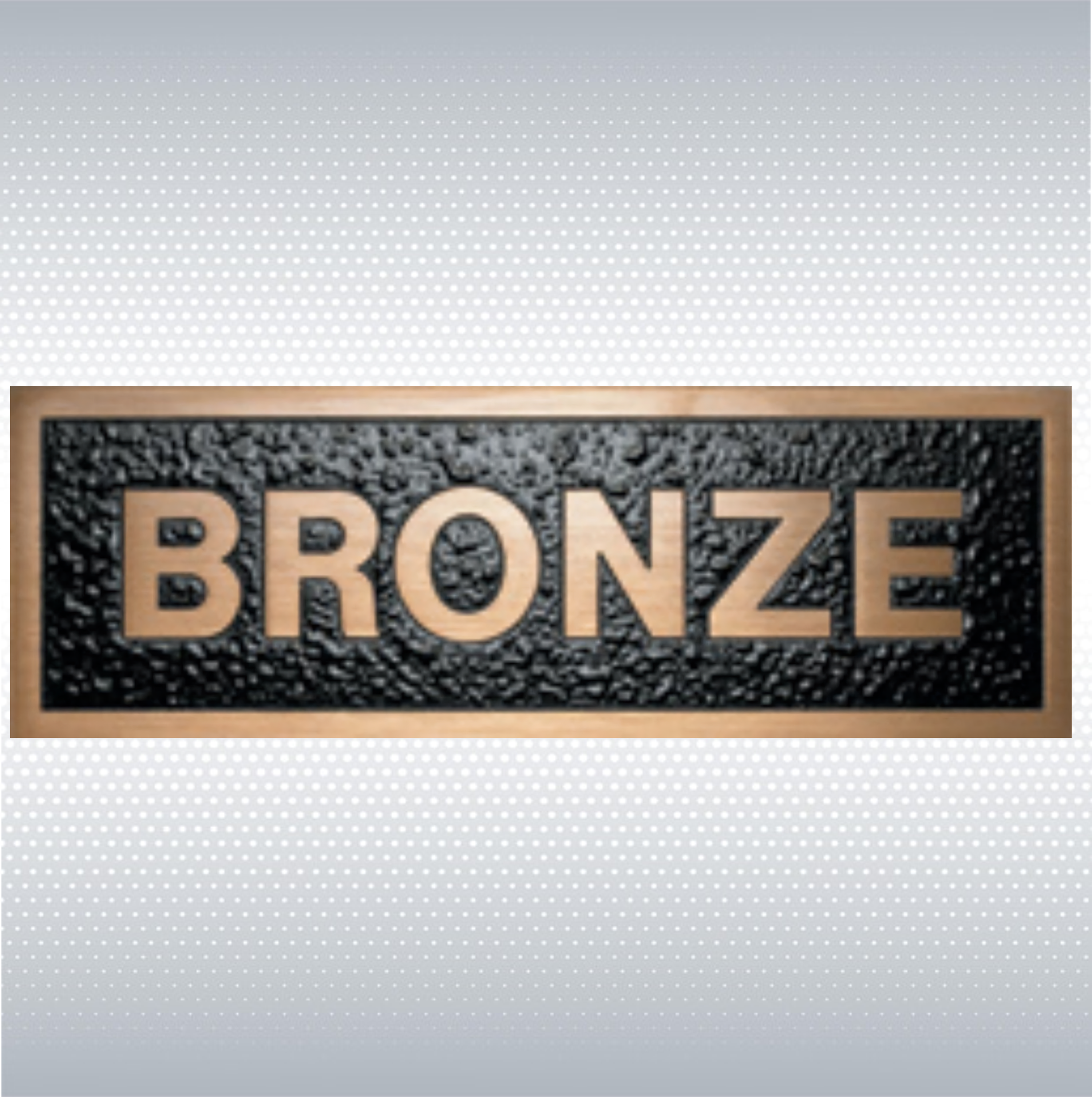 8" x 3" Custom Bronze Plaque 2