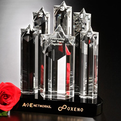 Prominence Award 6