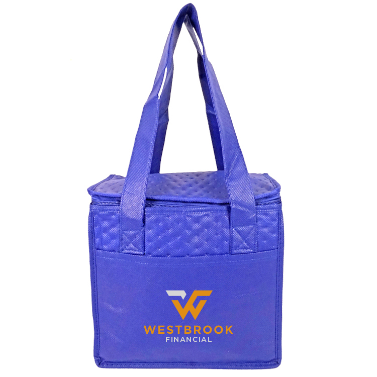 Denali Insulated Convenient Cooler 5