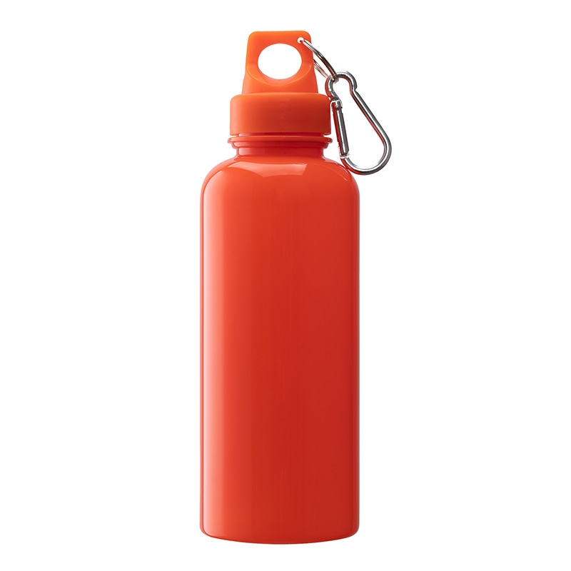 Brio 20 oz. PS Water Bottle w/ Carabiner 71