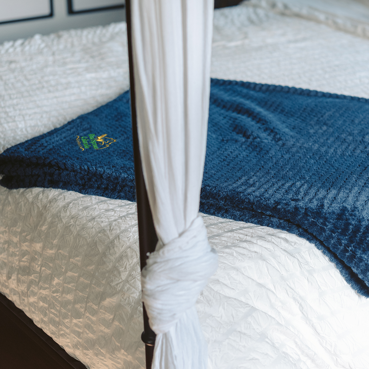 Cozy Plush Blanket 2