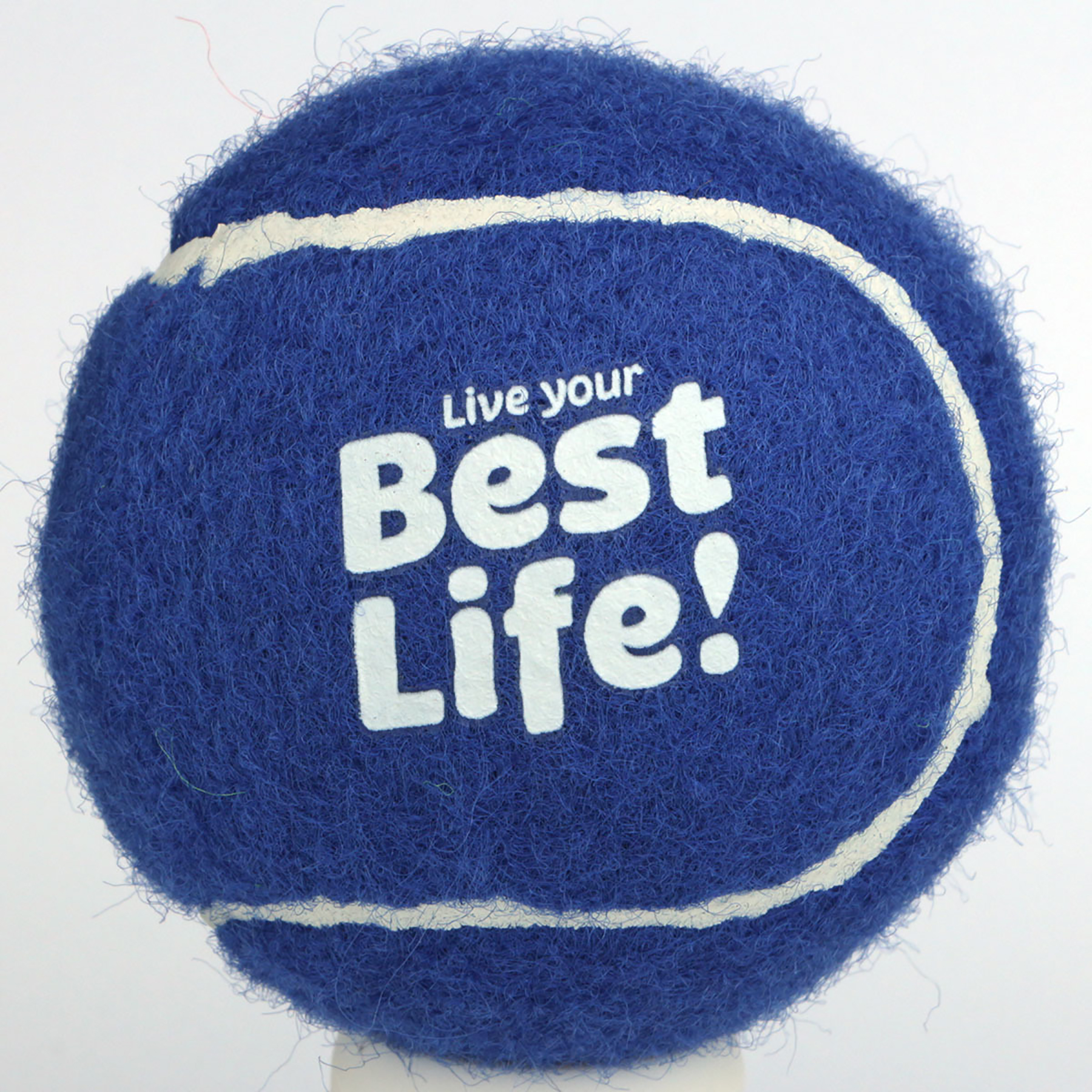 Dia 2 1/2" Pet Tennis Ball 4