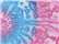 Unisex Tie-Dyed Full-Zip Hooded Sweatshirt - 8888 2