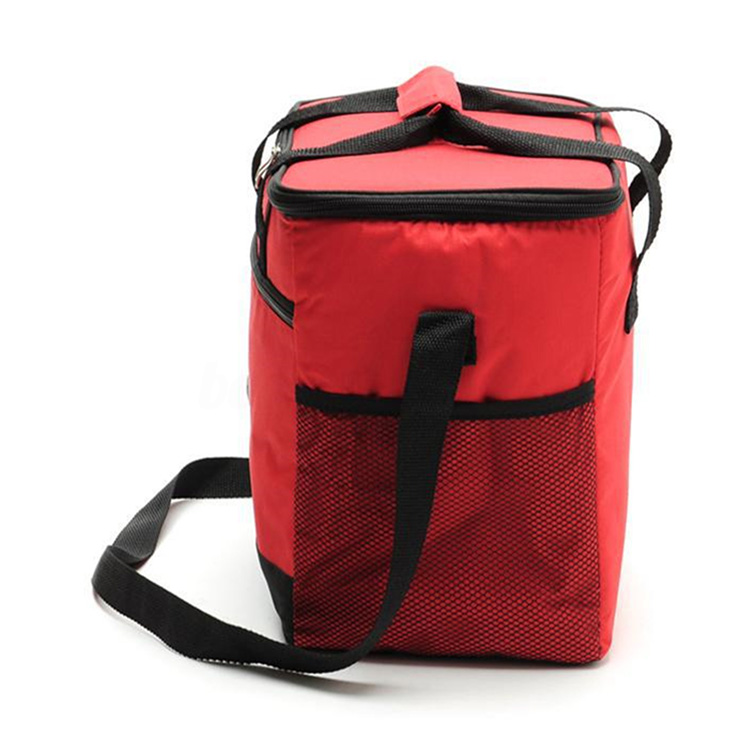 Cooler Bag 7