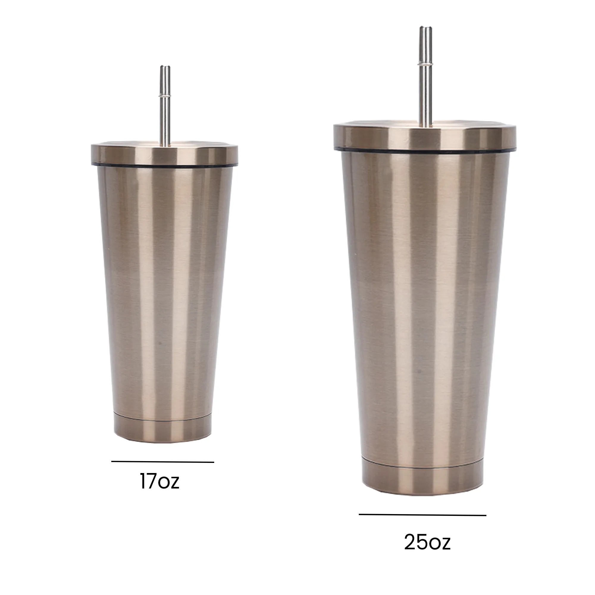 Sippy Cup 17 oz Stainless Steel Double Wall Vacuum Insulated 12