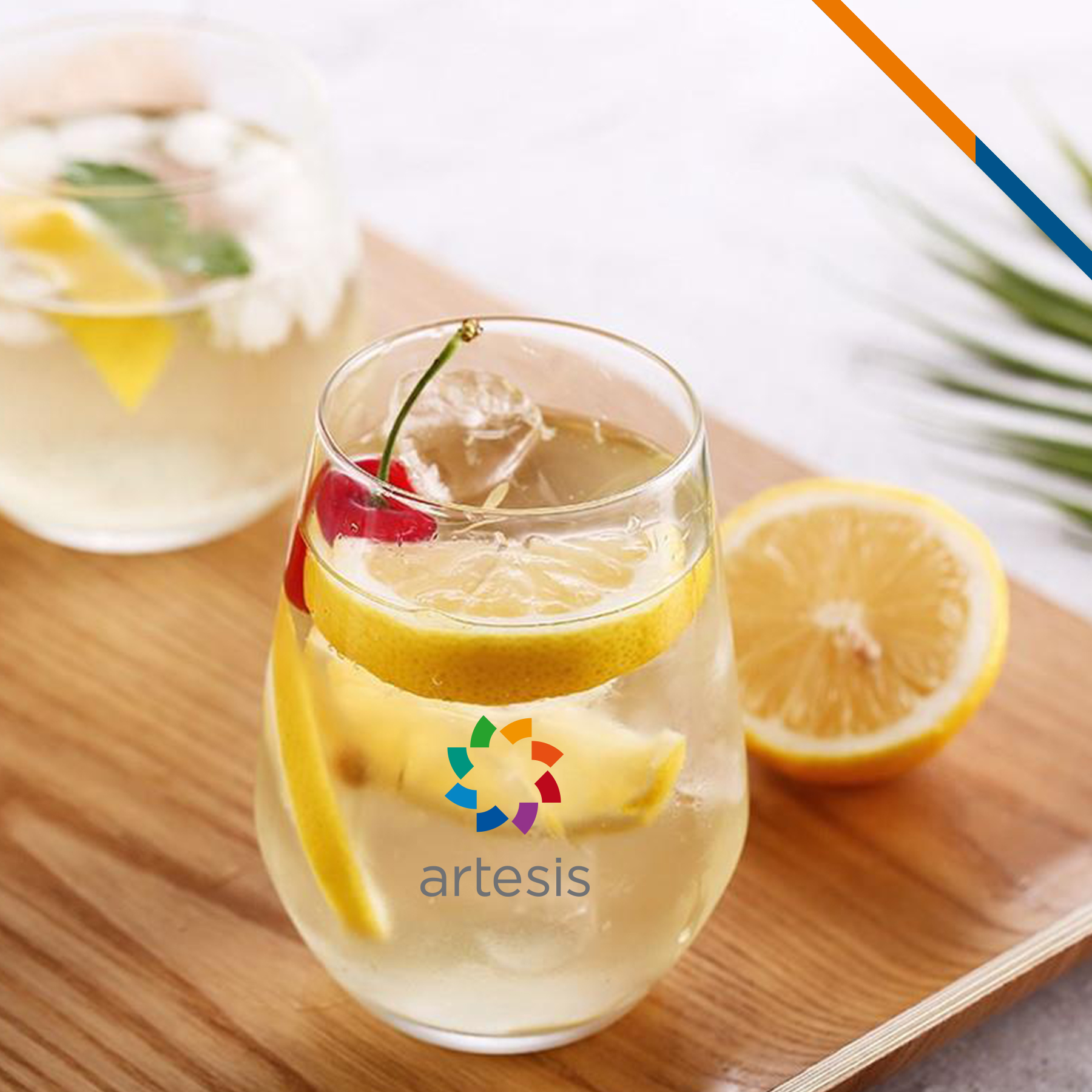 Lizzie Stemless Wine Glasses -16 OZ 7