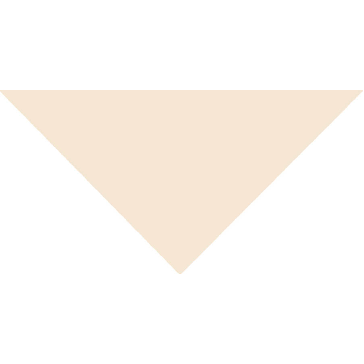 Domestic Pet Bandanna 56