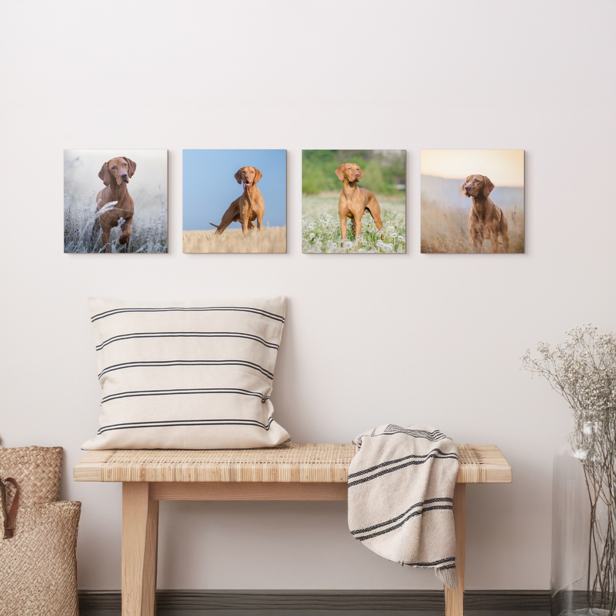 Custom MIXPIX® Photo Tiles – Personalized Wall Art with Magnetic Mounting for Creative Displays 5