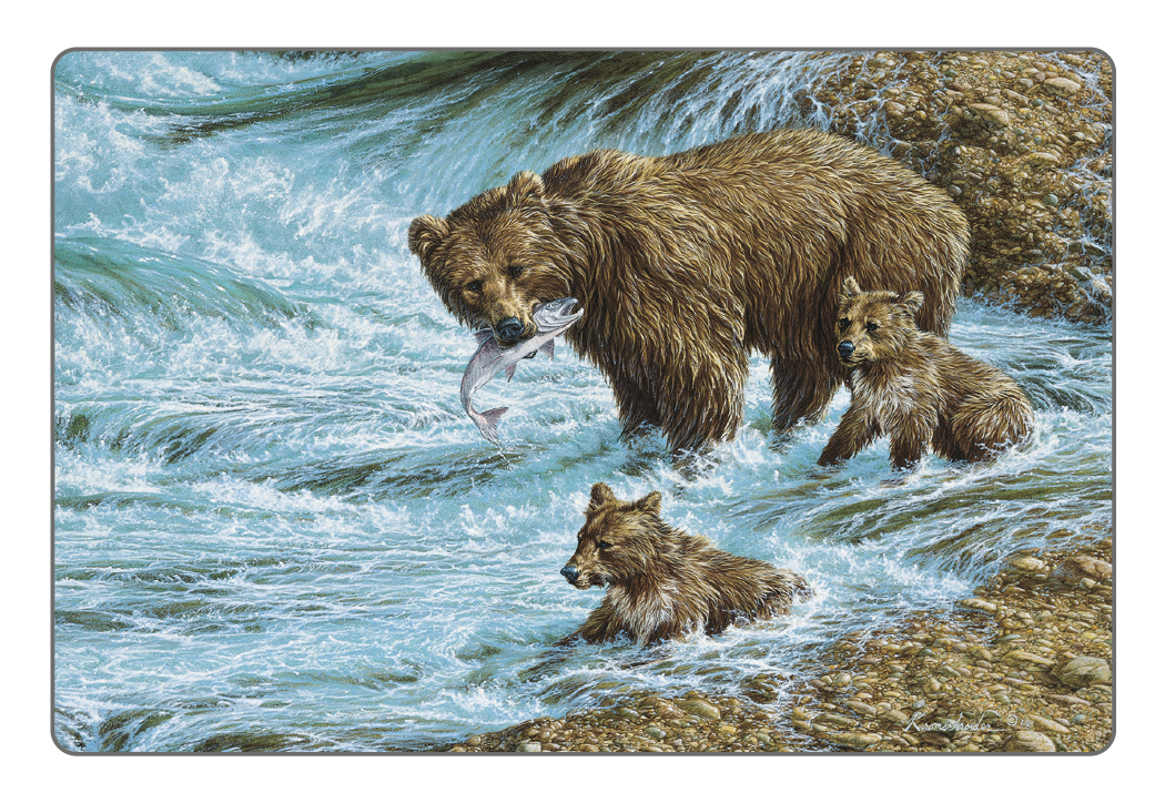 Triumph® Calendars Wildlife Art Pocket Calendar 18