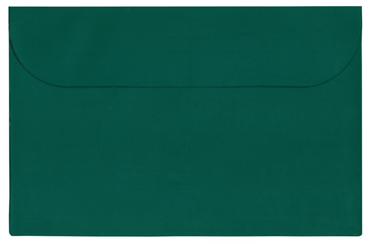 Standard Vinyl Underarm Portfolio 22