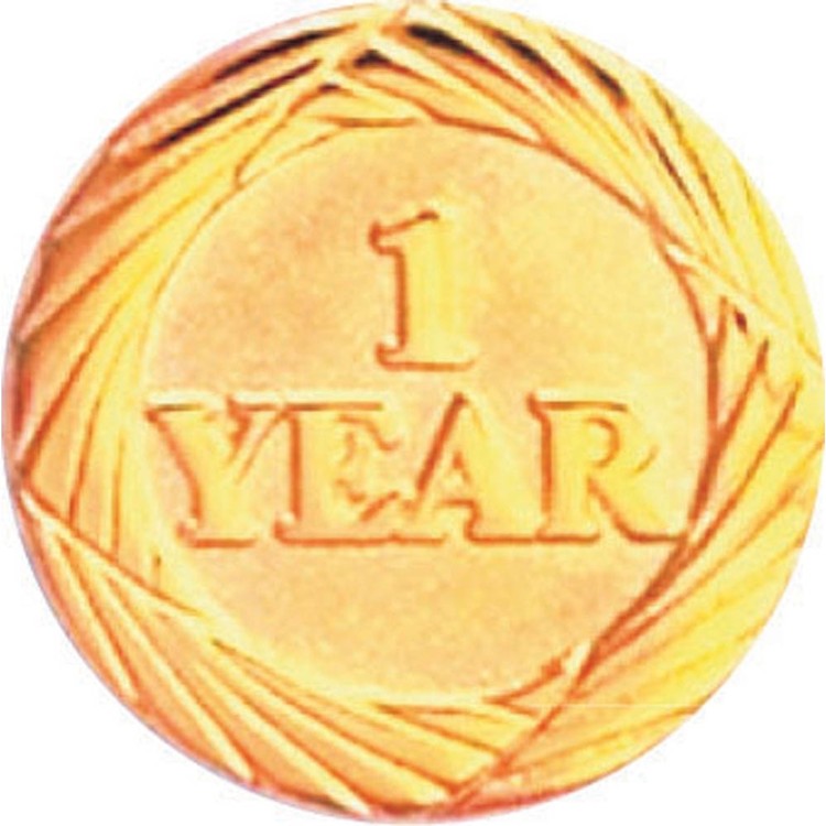 Bright Gold 1 Year Service Lapel Pin