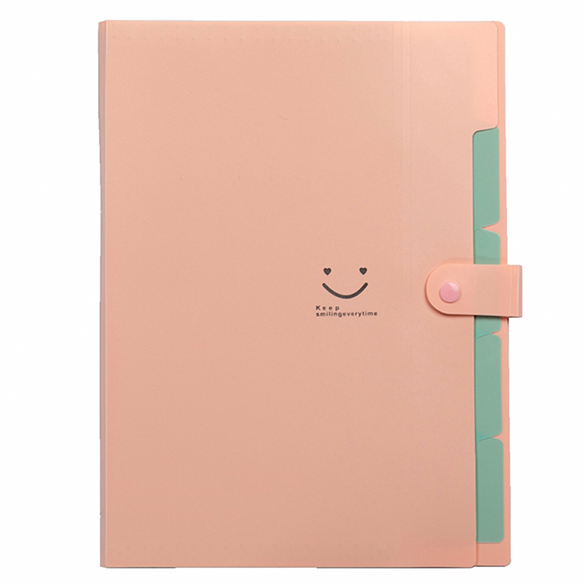 Expandable Poly File Folder with Snap Closures and Multi Pockets 4