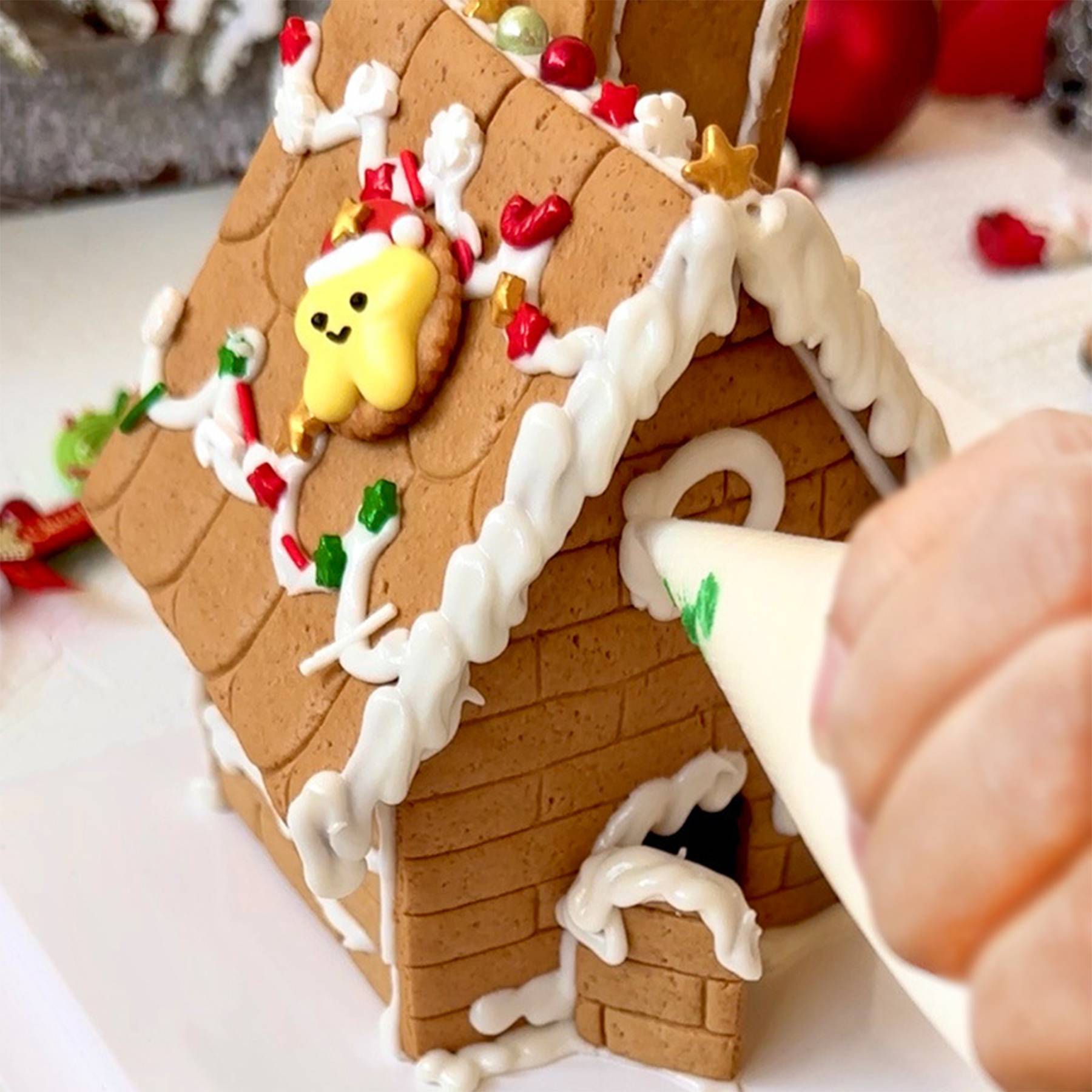 Gingerbread house kit 6