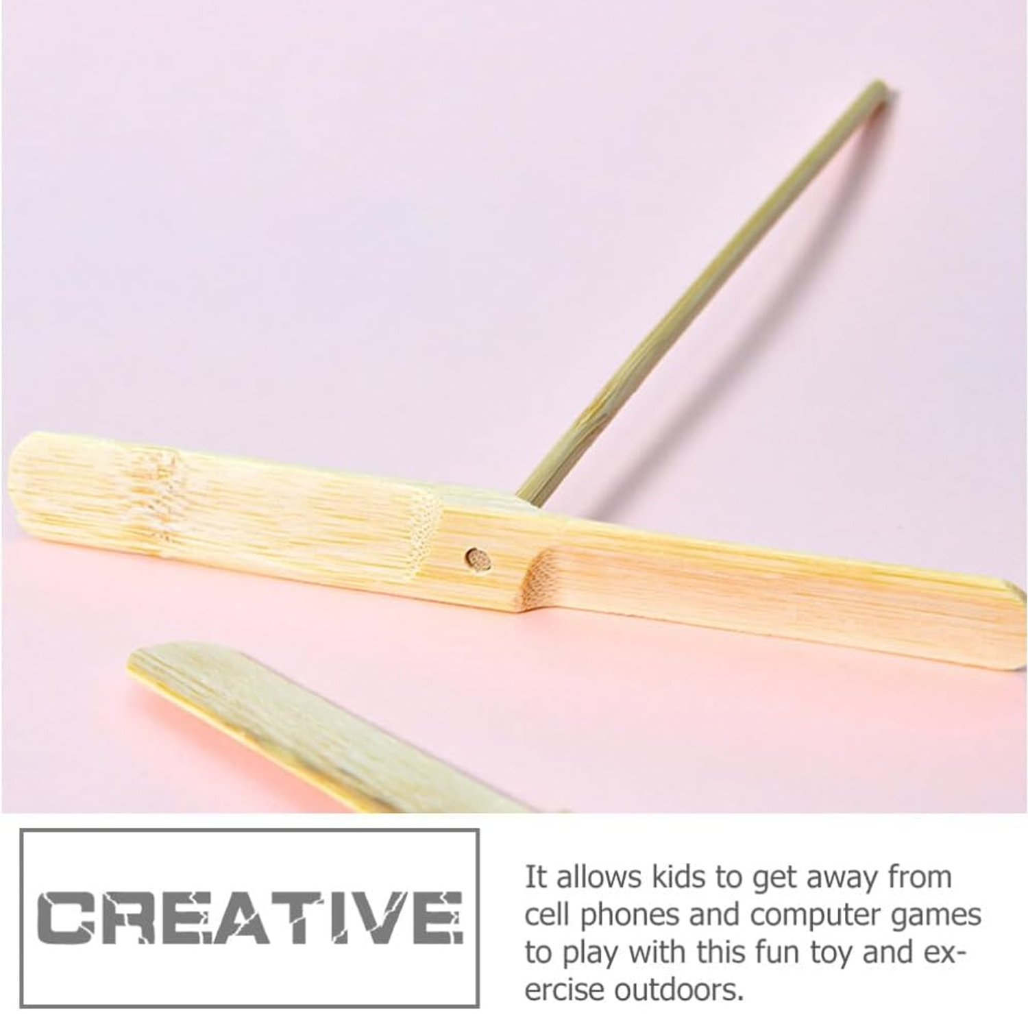 Bamboo Dragonfly 9