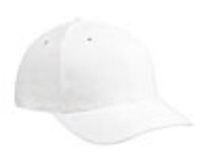 Embroidered Brushed Bull Denim Caps 12