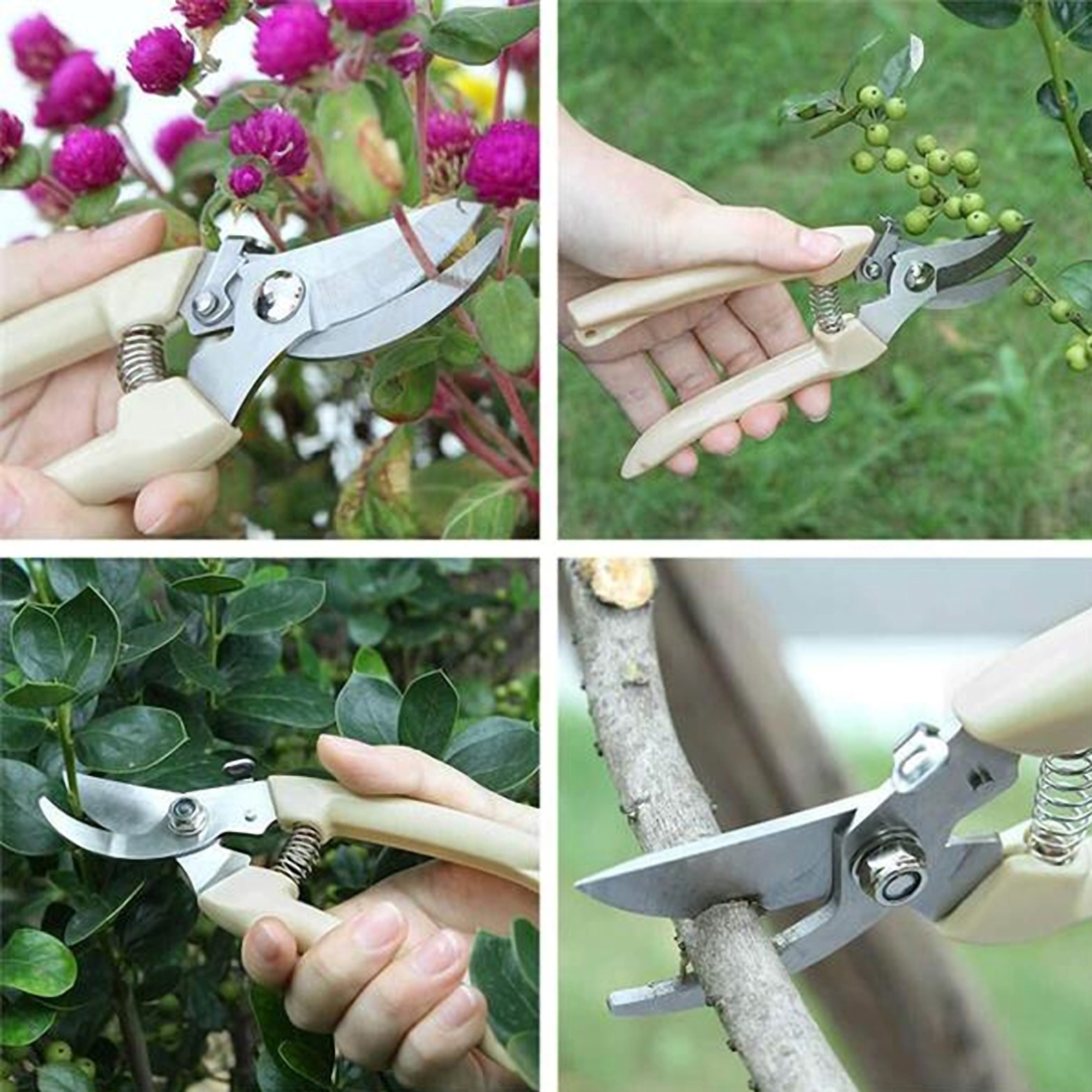 Gardening Secateaurs 3