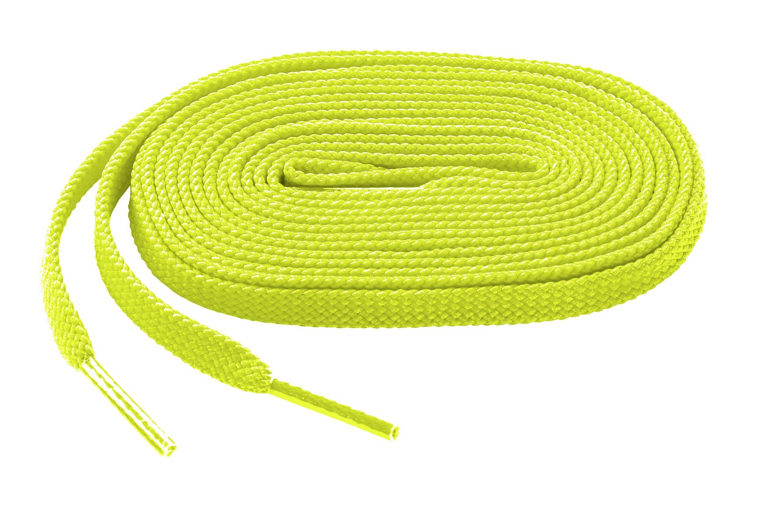 Shoelace 17