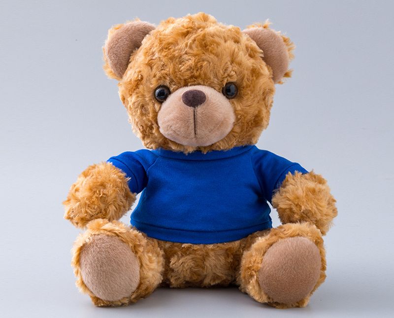 Teddy Bear With Choice of T-Shirt Color 1