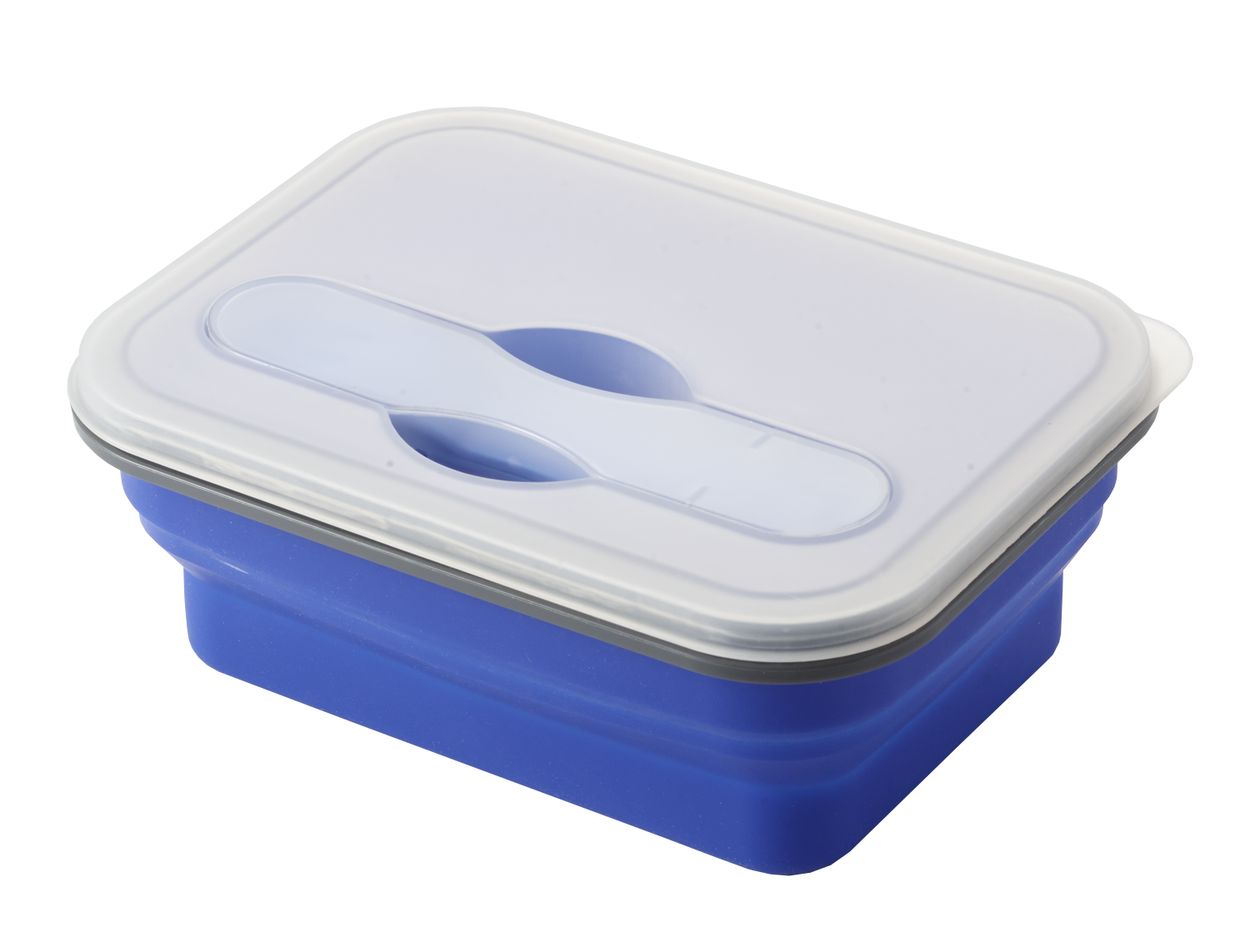 Collapse-It Silicone Lunch Container 2