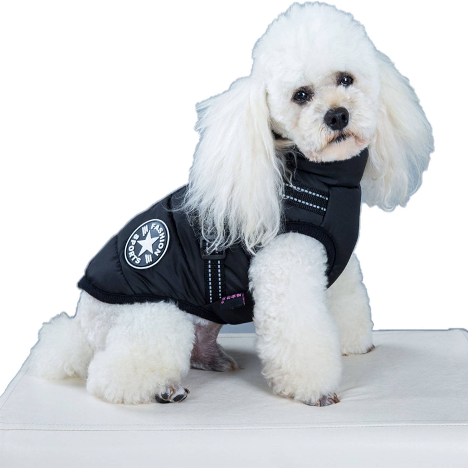 Cotton-Padded Dog Vest 9